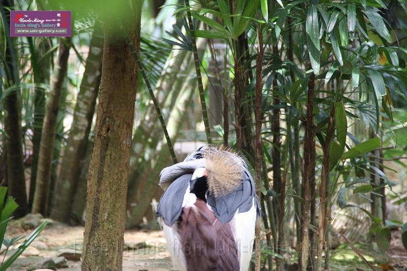 090410IMG_sk_0758birdparadise (18).JPG